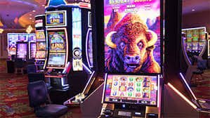 95b bet
